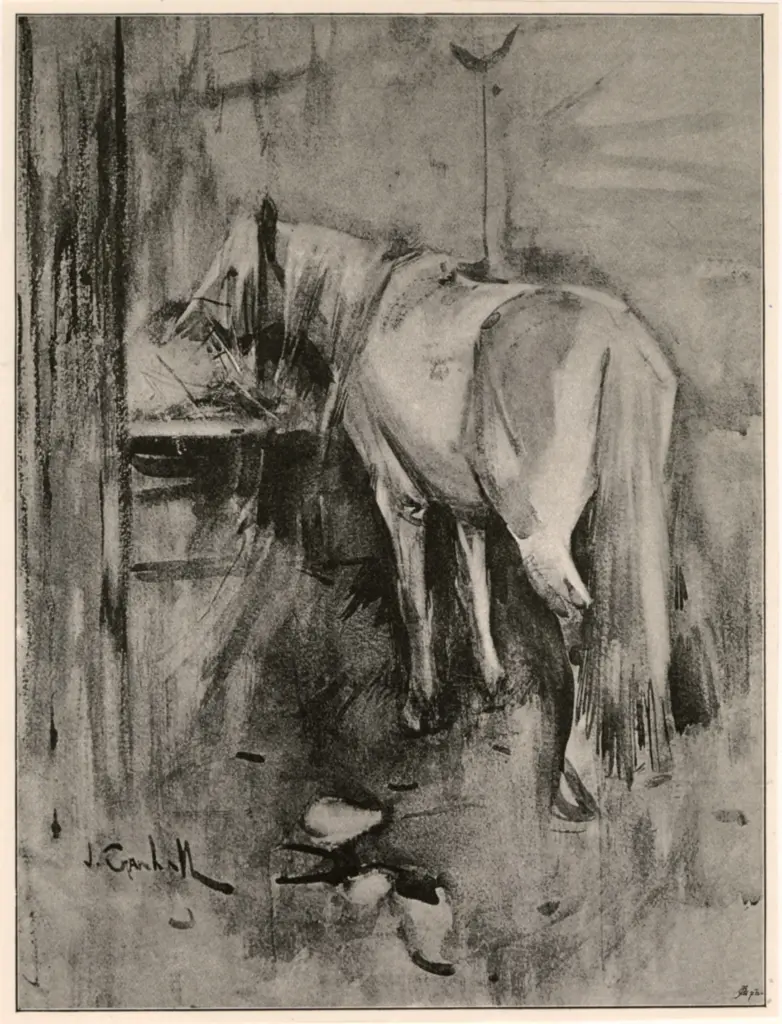 Anonimo , Crawhall, Joseph - sec. XIX - Barb Horse in Stable , fronte