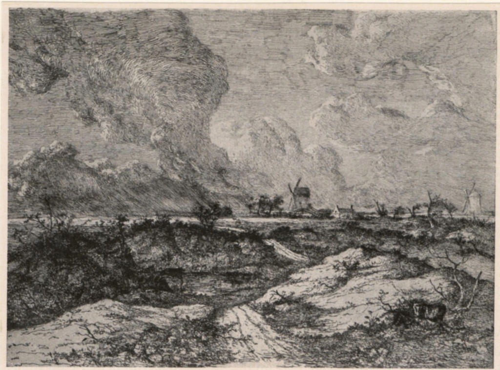 Anonimo , fronte