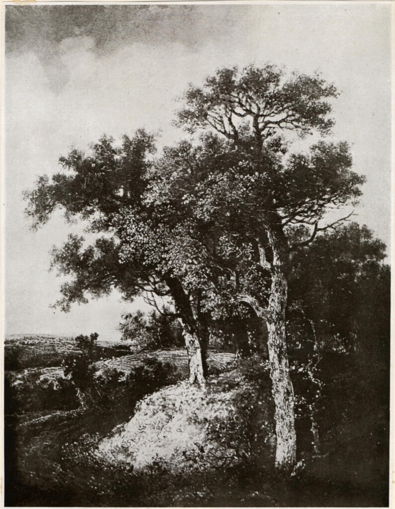Anonimo , fronte