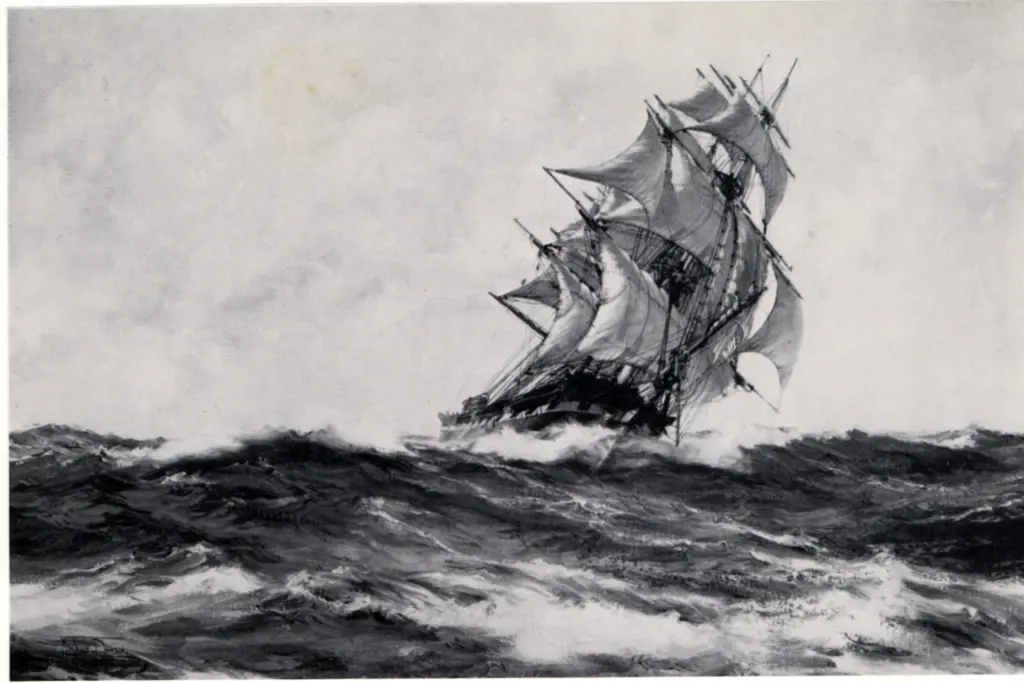 Anonimo , Dawson, Montague , fronte