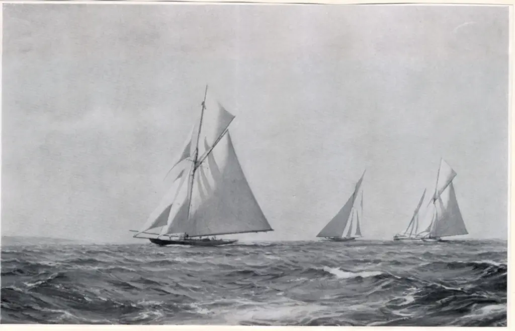 Anonimo , Dawson, Montague , fronte