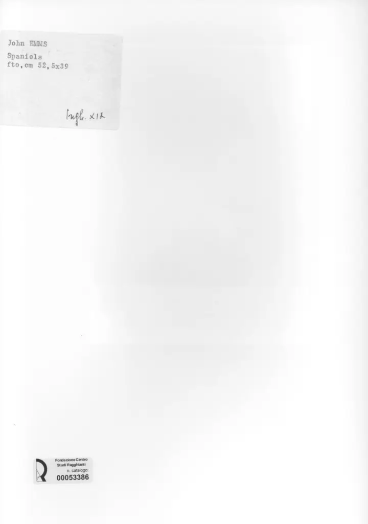 Anonimo, Anonimo , retro