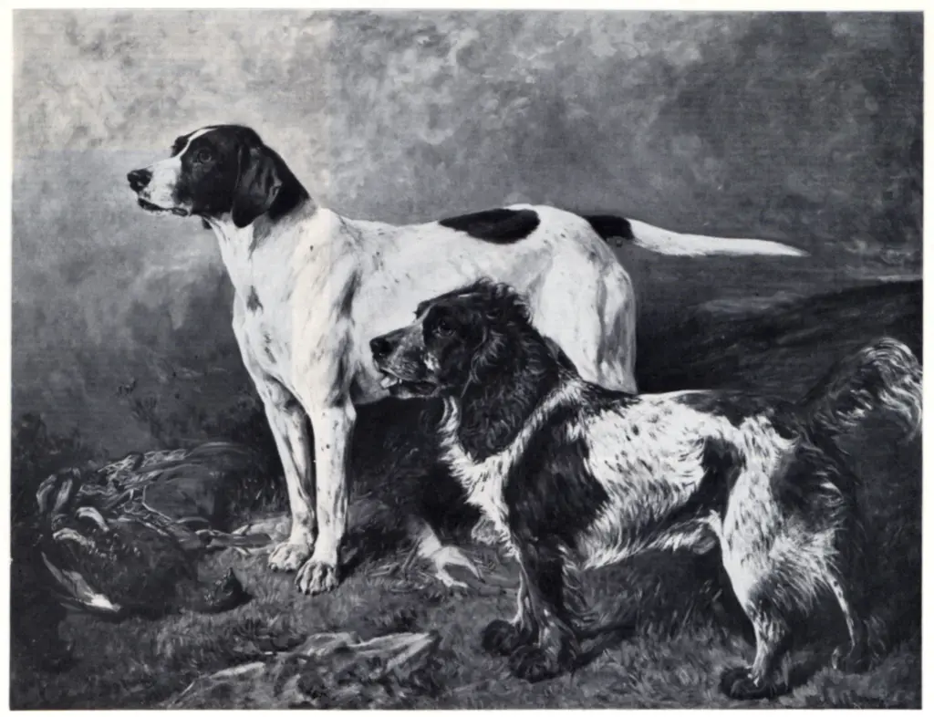 Anonimo, Anonimo , fronte