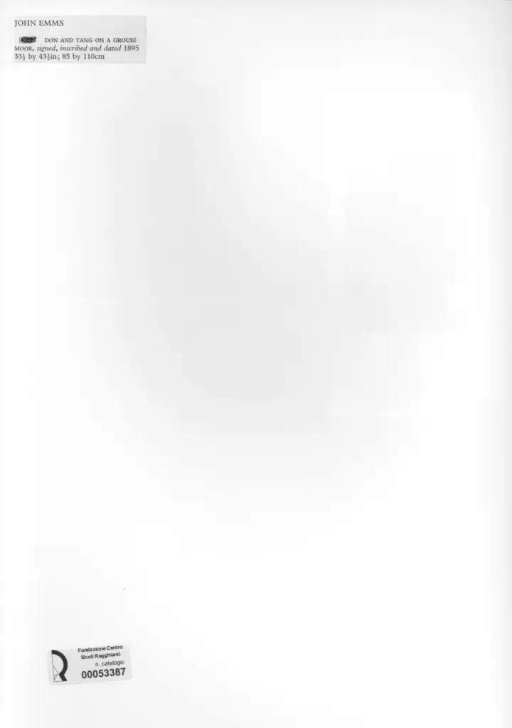 Anonimo, Anonimo , retro