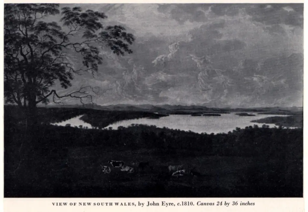 Eyre, John , View of New South Vales -