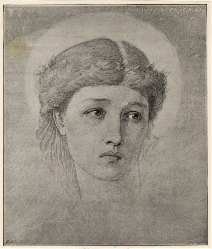 Anonimo , Fairfax - Muckley, Louis - sec. XIX - Study of a head , fronte