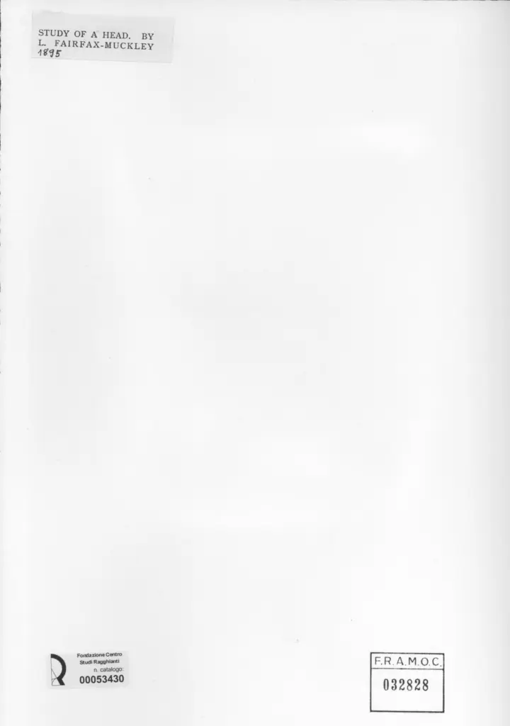 Anonimo , Fairfax - Muckley, Louis - sec. XIX - Study of a head , retro