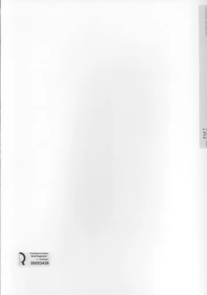 Anonimo , Fehr, Henri - sec. XIX - Scene di una battaglia , retro