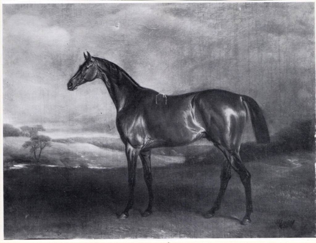 Anonimo , fronte