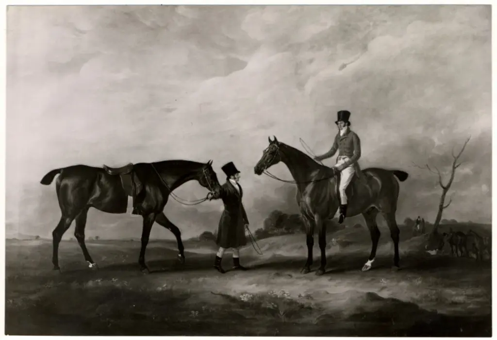 Anonimo, Anonimo , fronte