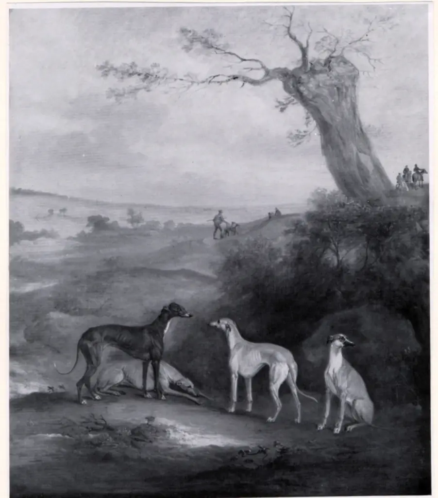 Anonimo, Anonimo , fronte