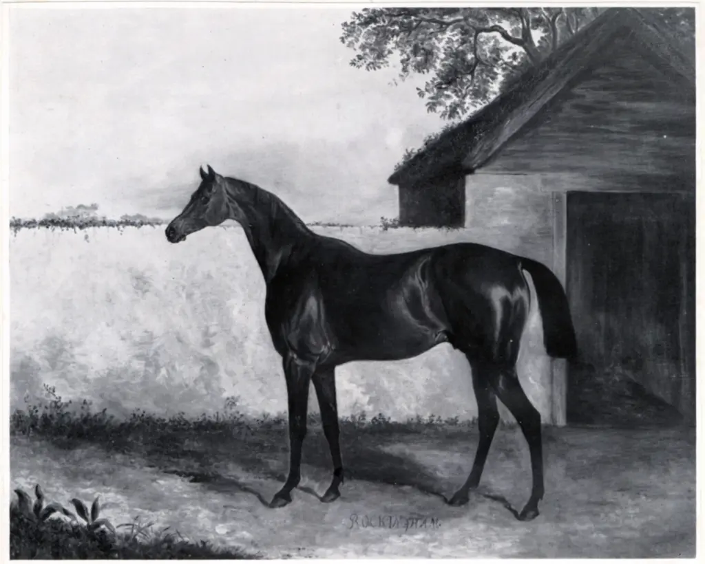 Anonimo , Ferneley, John , fronte