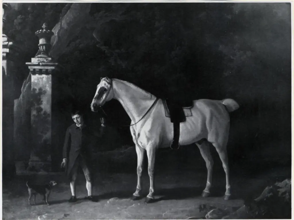 Anonimo , Garrard, George , fronte