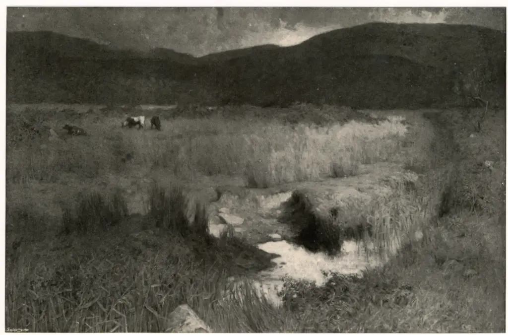 Anonimo , Gibbs, Percy William - sec. XIX/ XX - A Moorland , fronte