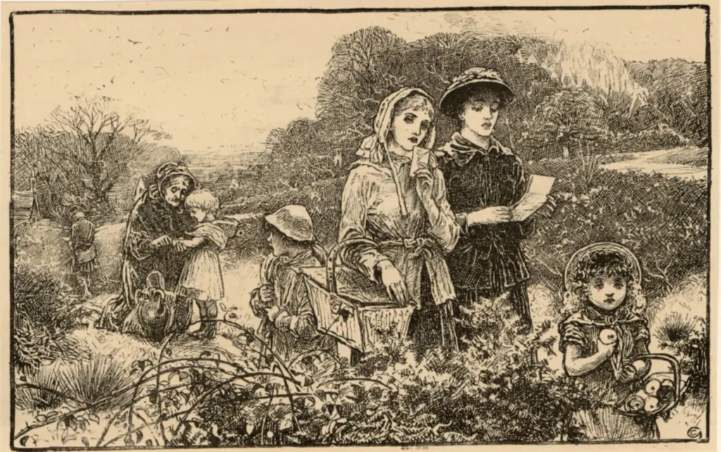 Anonimo, Anonimo , fronte