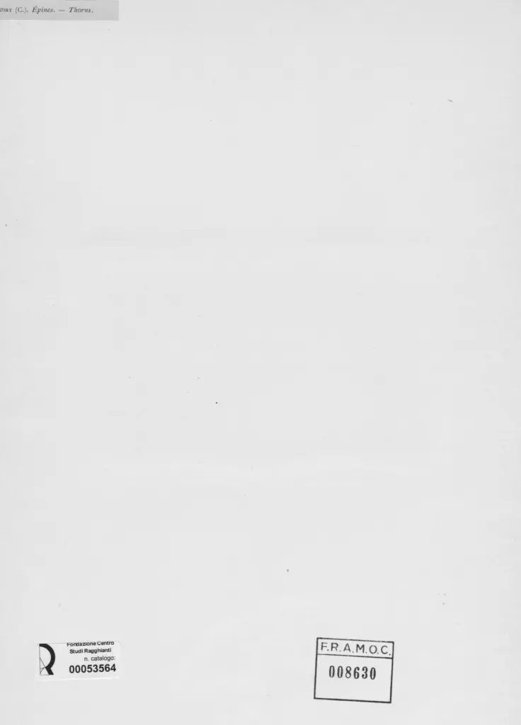 Anonimo, Anonimo , retro