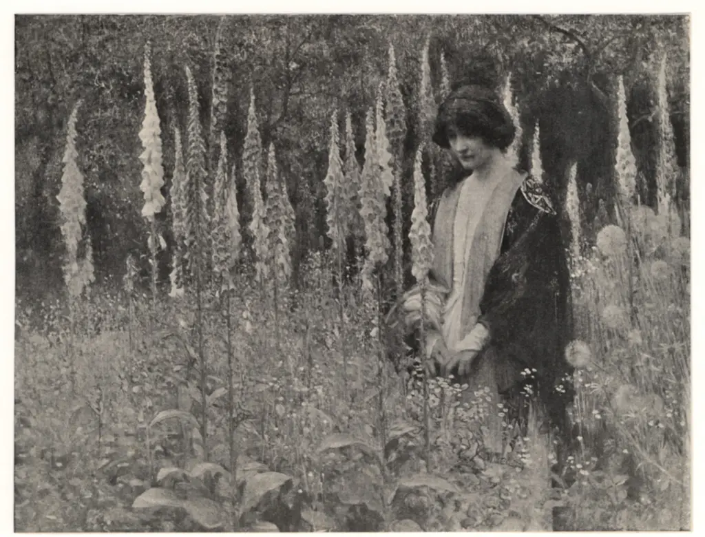 Anonimo , Hacker, Arthur - sec. XIX - The Drone , fronte