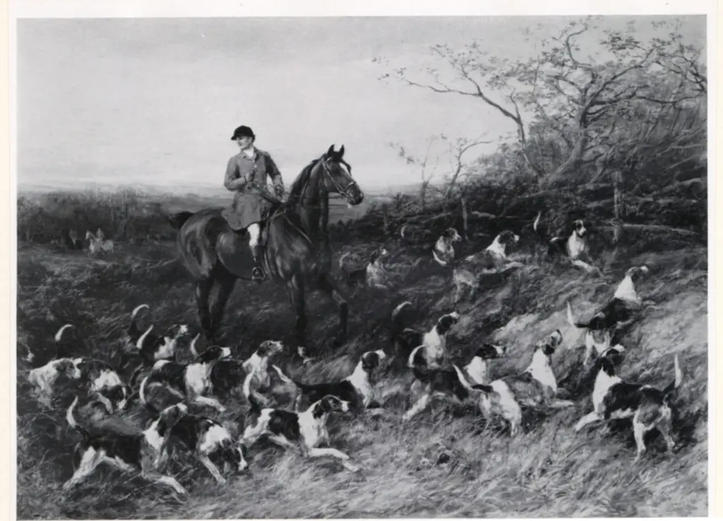 Anonimo, Anonimo , fronte