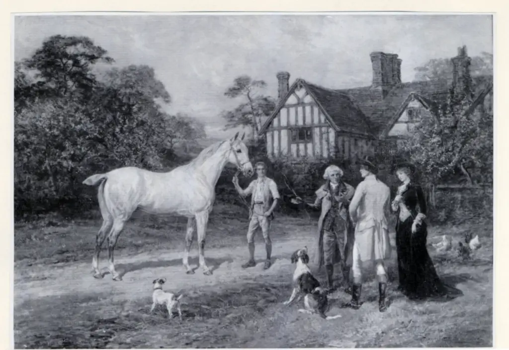 Anonimo, Anonimo , fronte