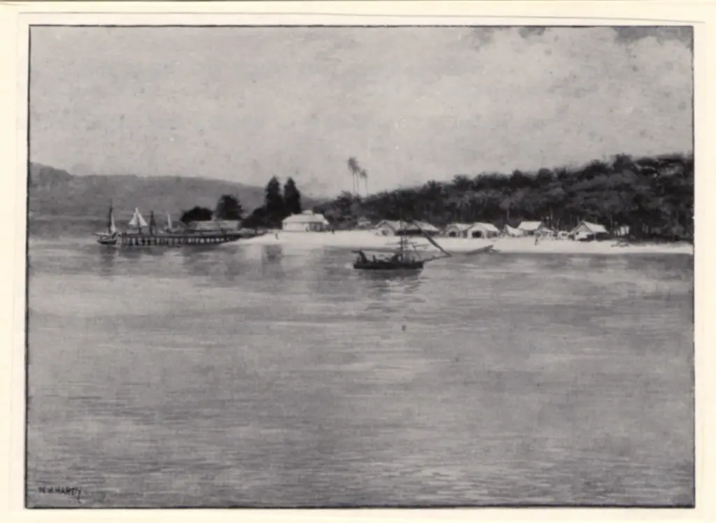 Hardy, , New Hebrides -