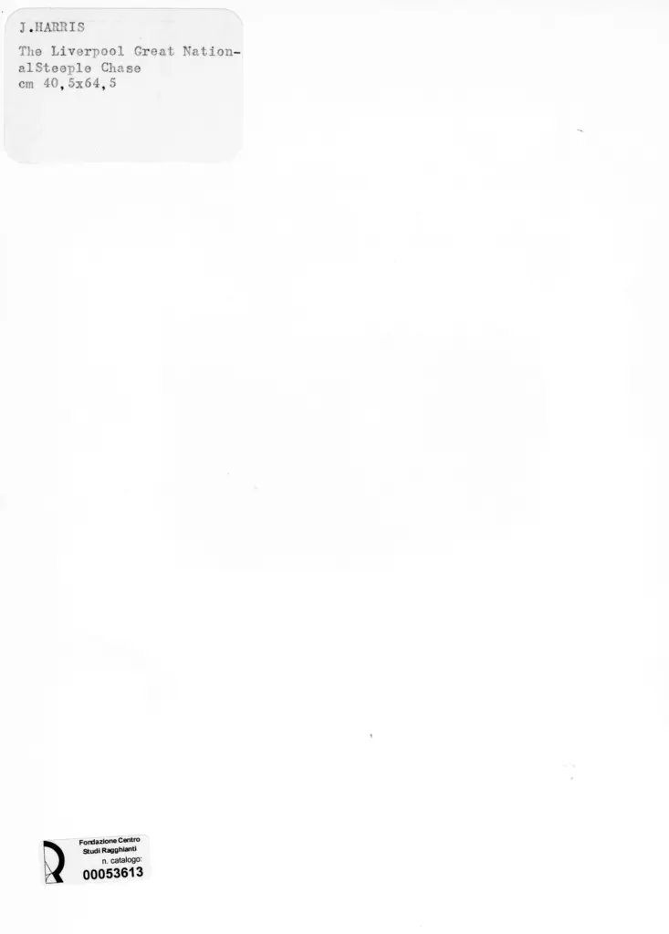 Anonimo , Harris, John - sec. XIX - The Liverpool Great National Steeple Chase , retro