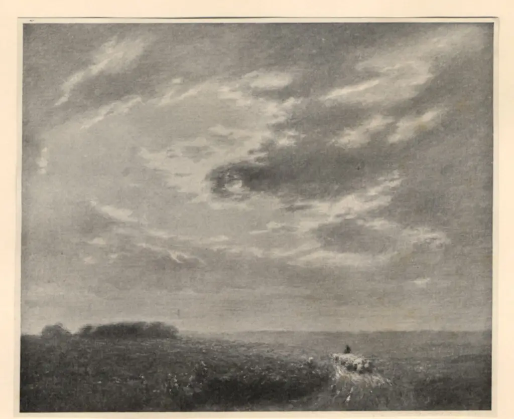 Anonimo, Anonimo , fronte