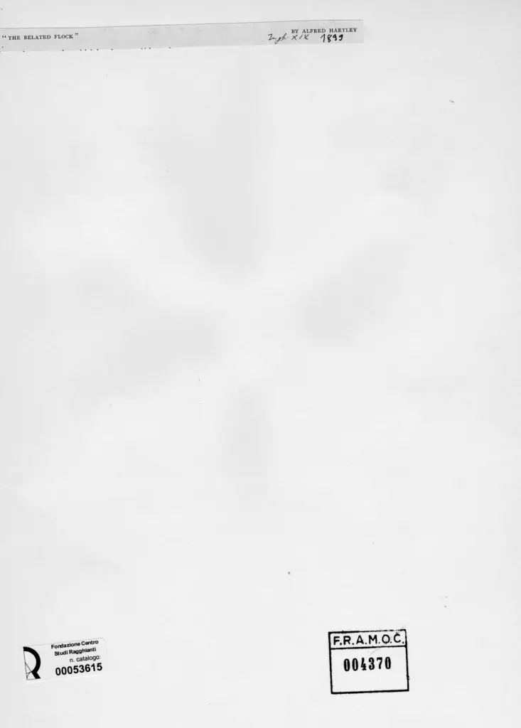 Anonimo, Anonimo , retro