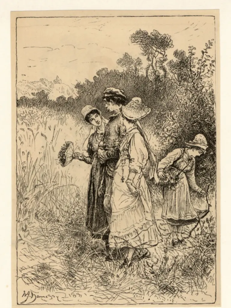 Anonimo, Anonimo , fronte