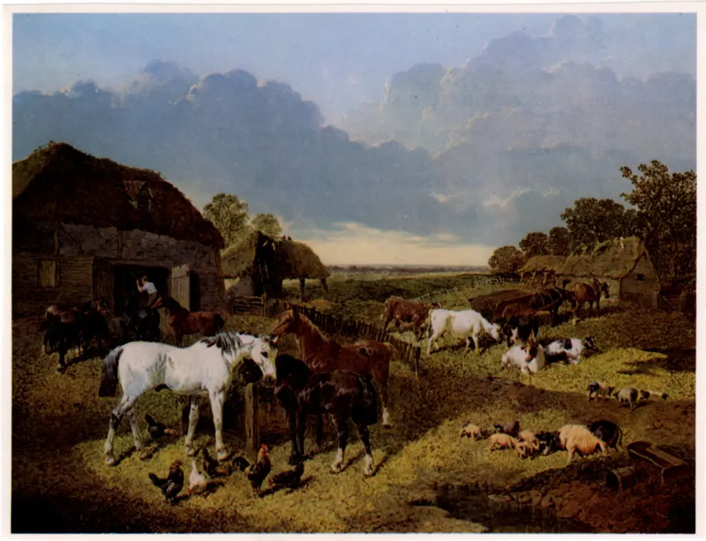 Anonimo , Herring, John Frederick , fronte