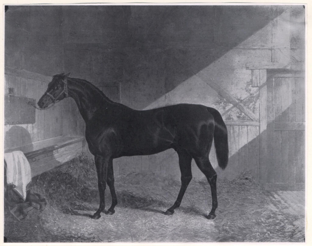 Herring, John Frederick , Charles XII