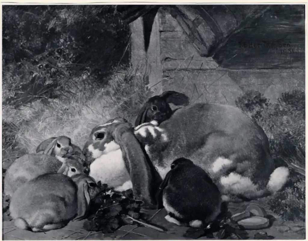 Anonimo , Herring, John Frederick - sec. XIX - A Doe with her Young , fronte