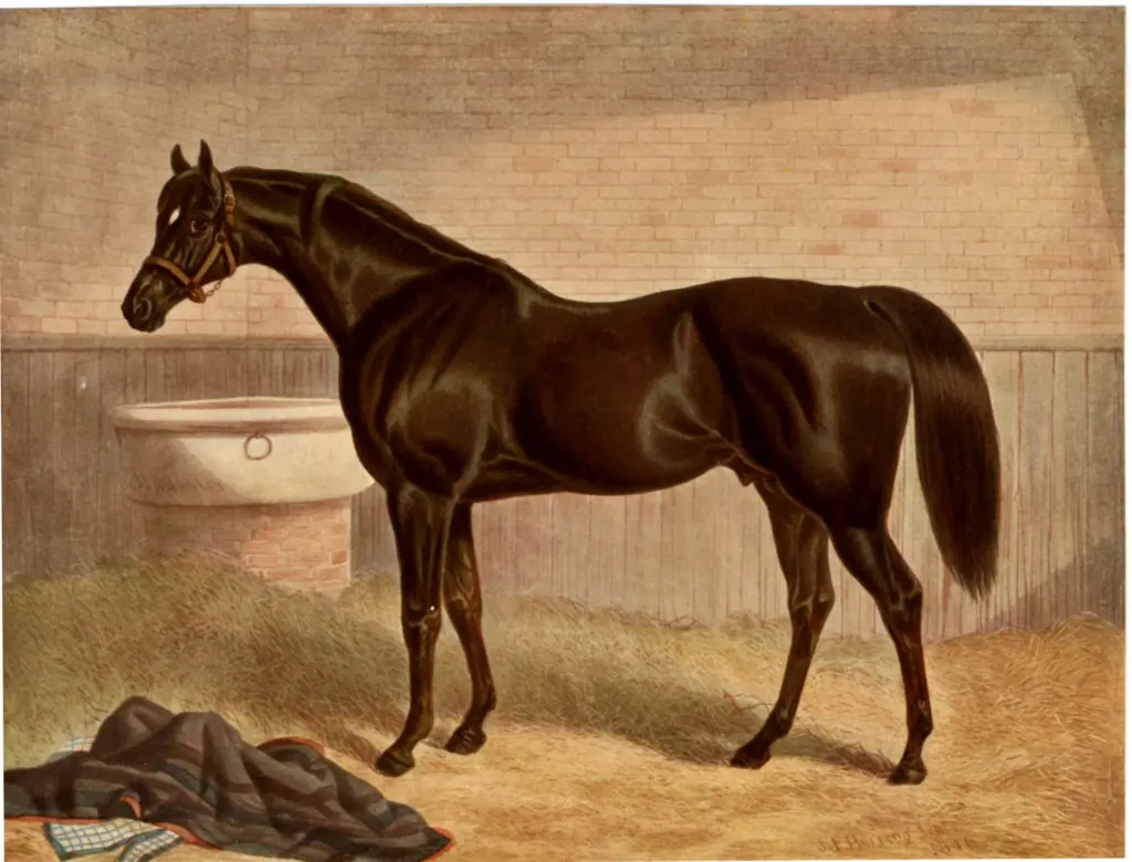 Anonimo , Herring, John Frederick , fronte