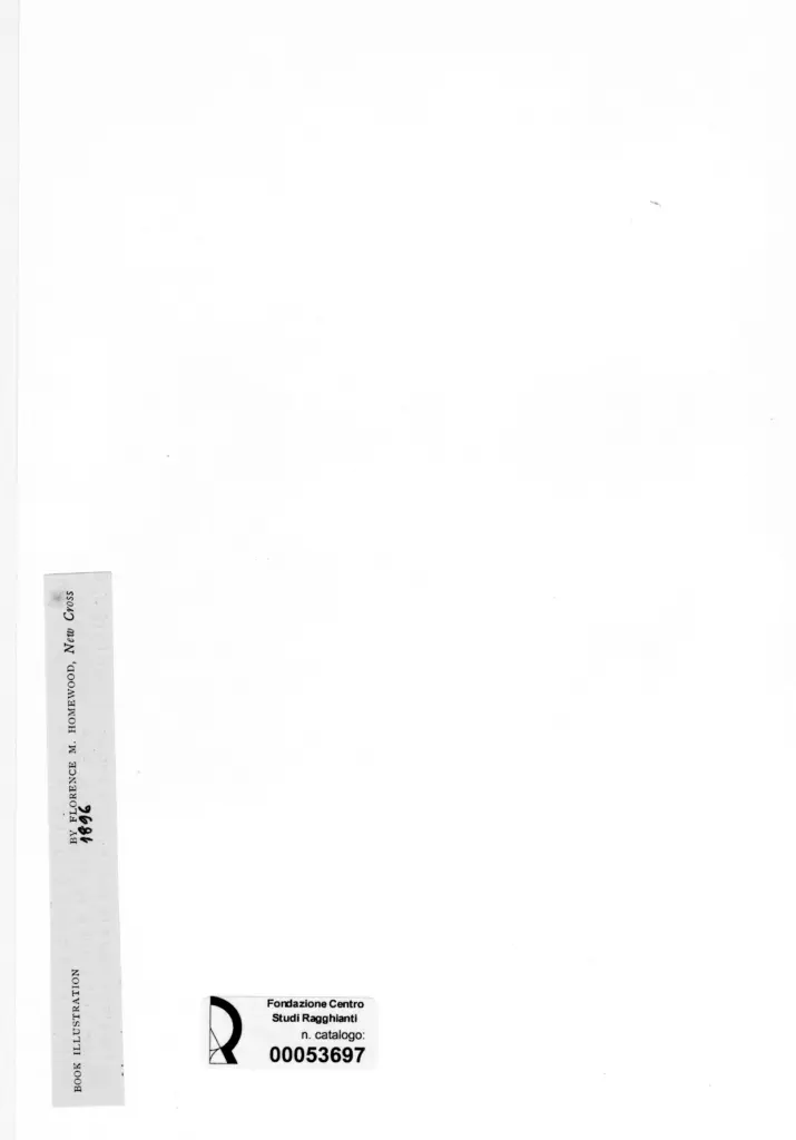 Anonimo , Homewood, Florence M. - sec. XIX - New Cross , retro