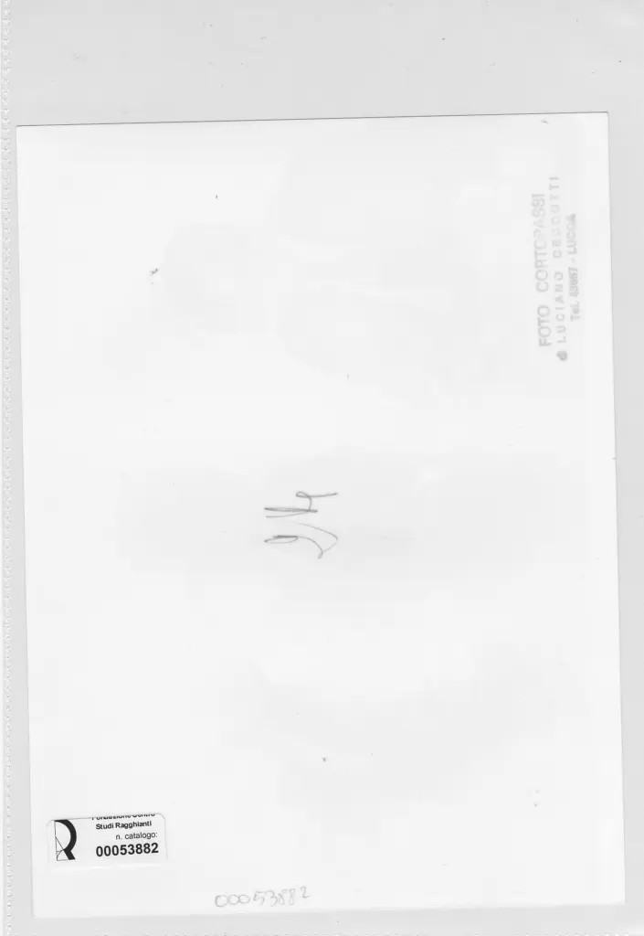 Foto Cortopassi , retro