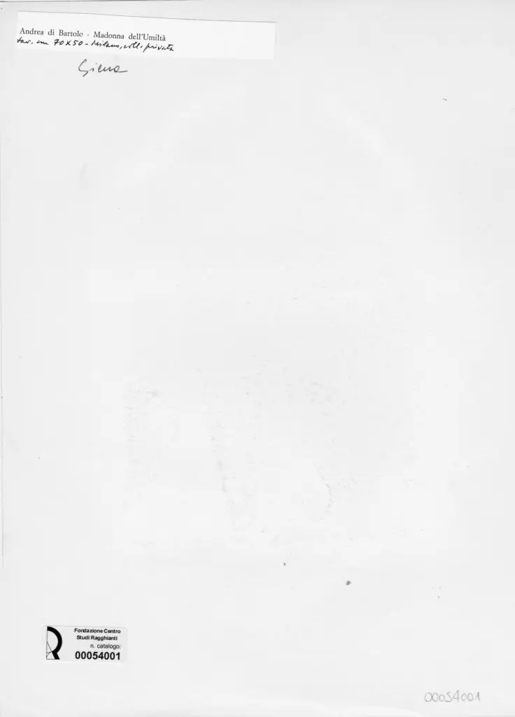 Anonimo, Anonimo , retro