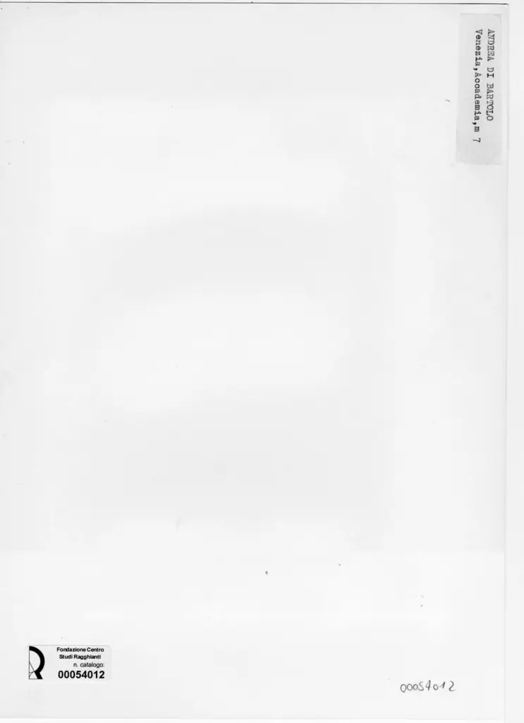 Anonimo, Anonimo , retro