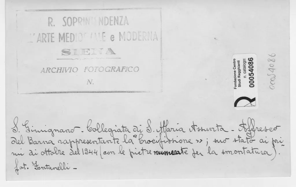 Fontanelli, Fratelli , retro