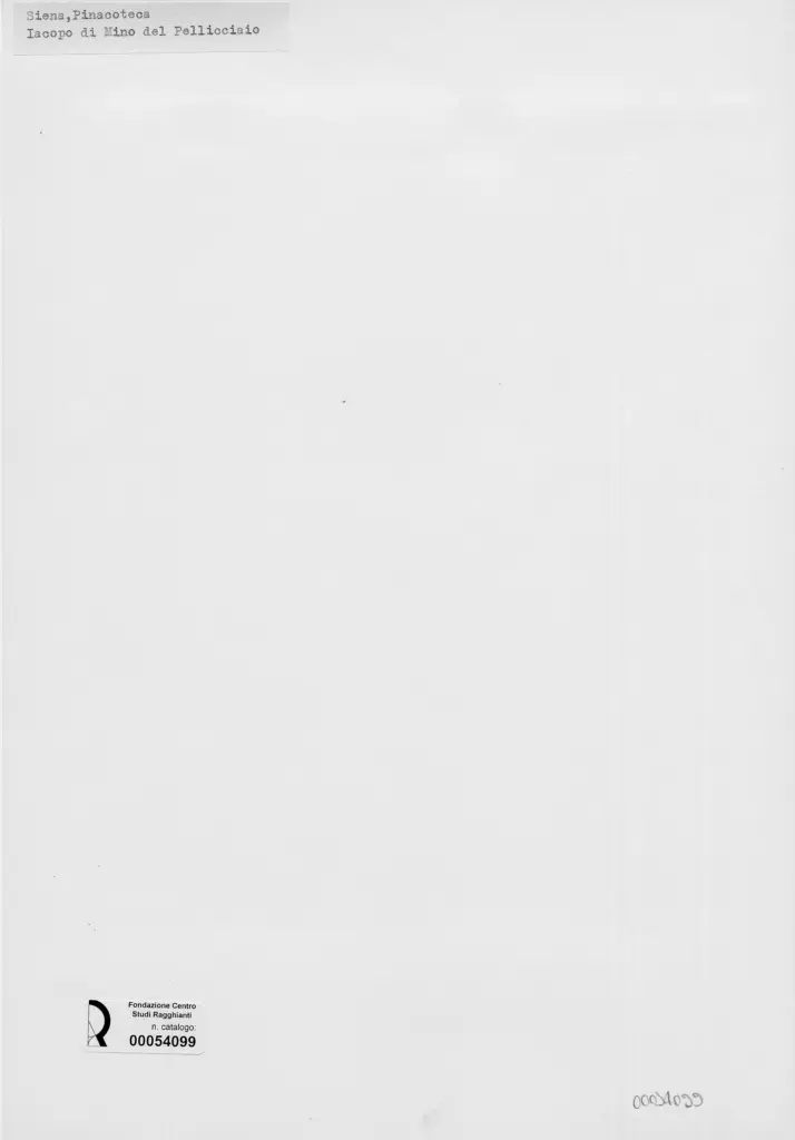 Anonimo, Anonimo , retro