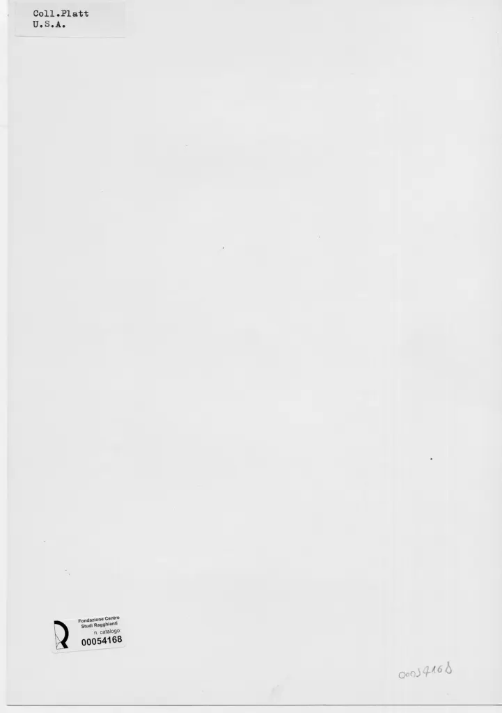 Anonimo, Anonimo , retro