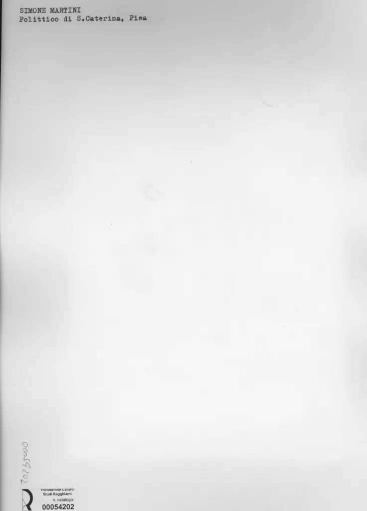 Anonimo, Anonimo , retro