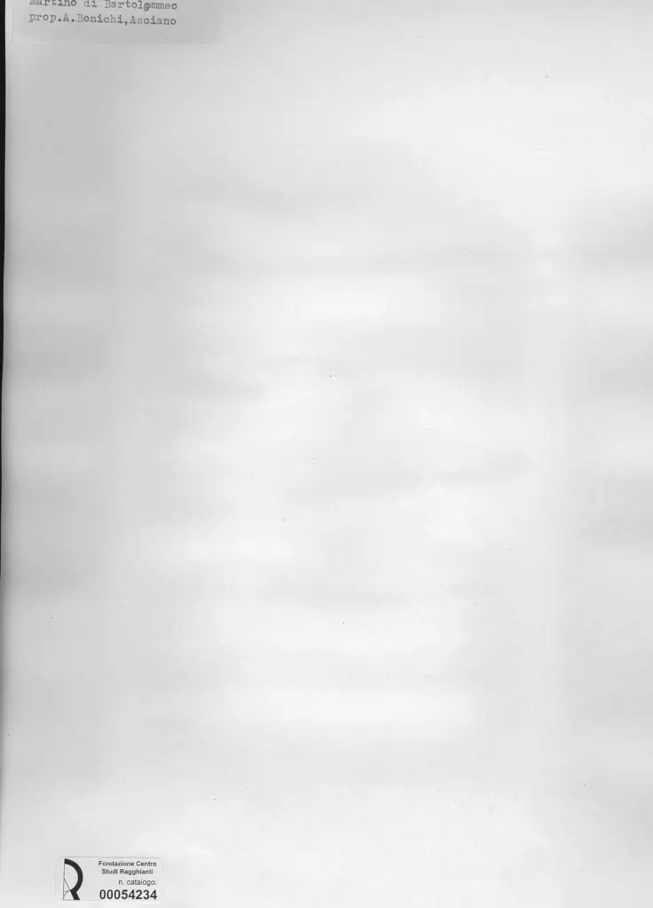 Anonimo, Anonimo , retro