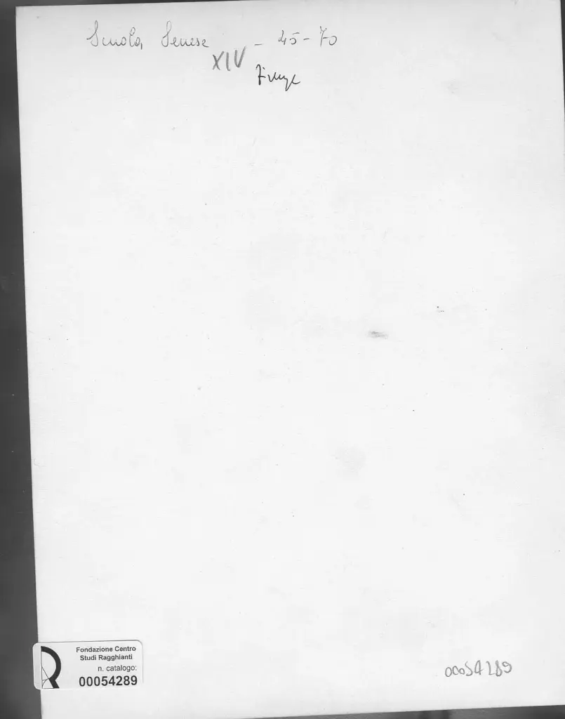 Anonimo, Anonimo , retro