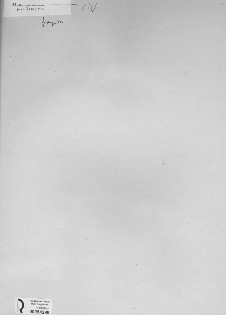 Anonimo, Anonimo , retro