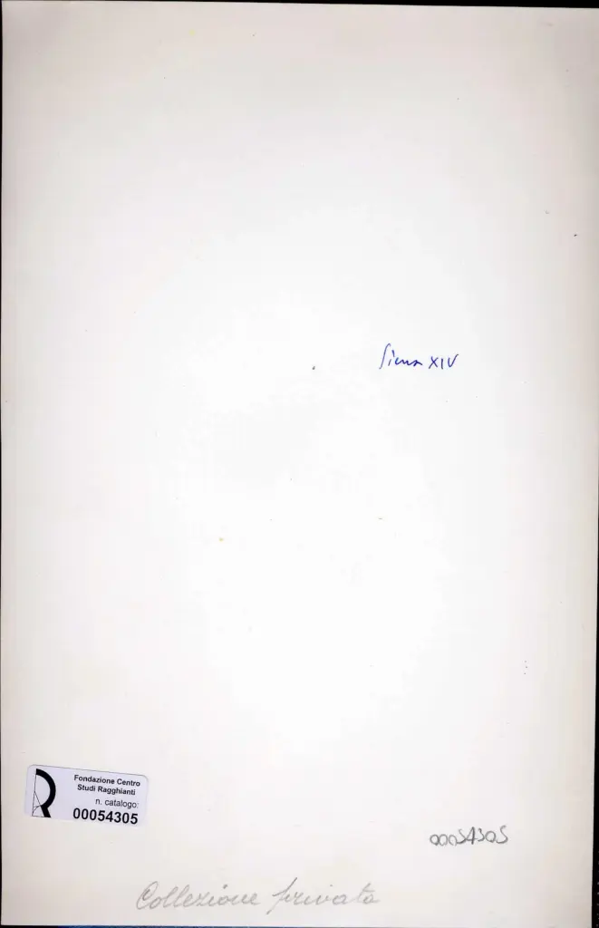 Anonimo, Anonimo , retro