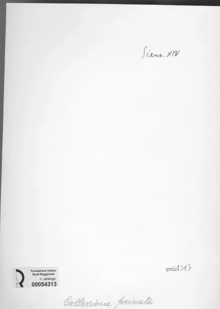 Anonimo, Anonimo , retro