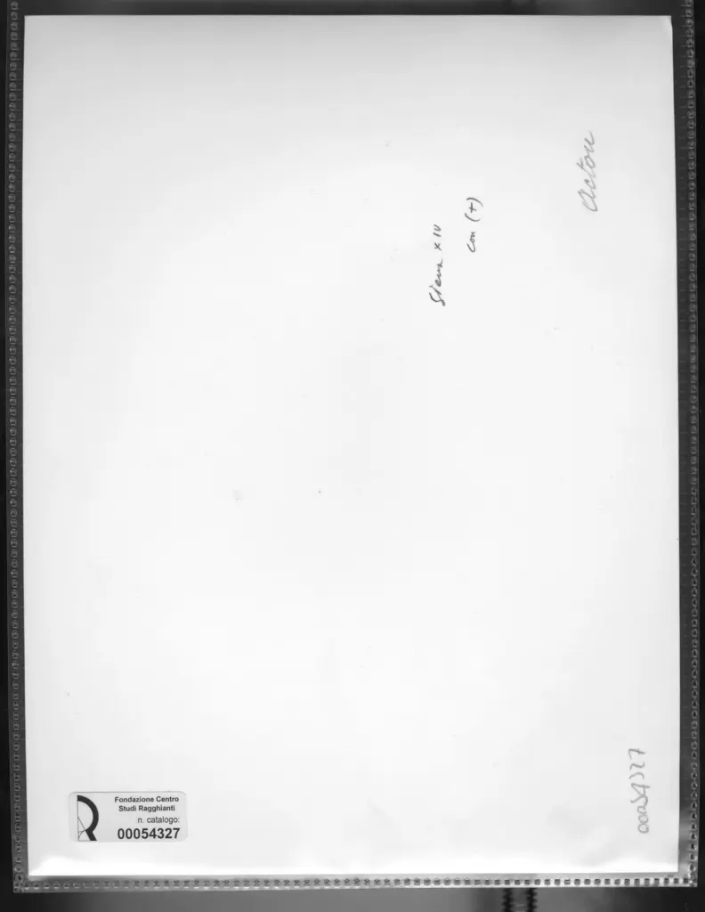 Anonimo, Anonimo , retro