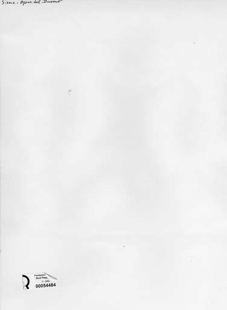 Anonimo, Anonimo , retro