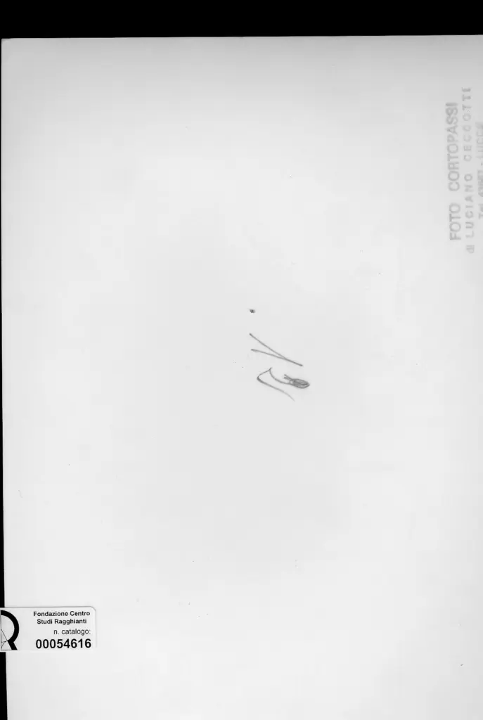 Foto Cortopassi , retro