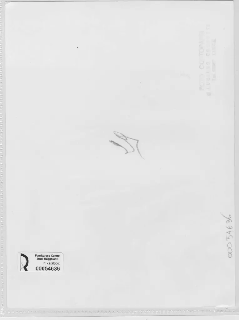 Foto Cortopassi , retro