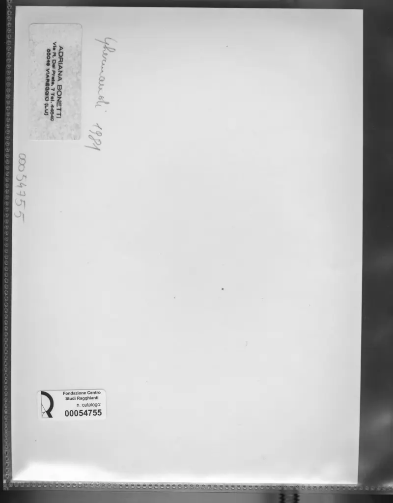 Bonetti, Adriana , retro